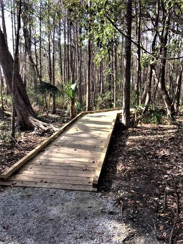 Explore on this Pathway