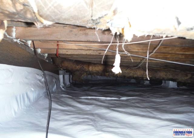 Brighting up the Crawl Space