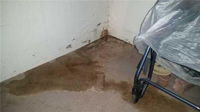 Standing Water in the Basement