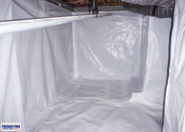 Protection Against Mold and Wood Rot