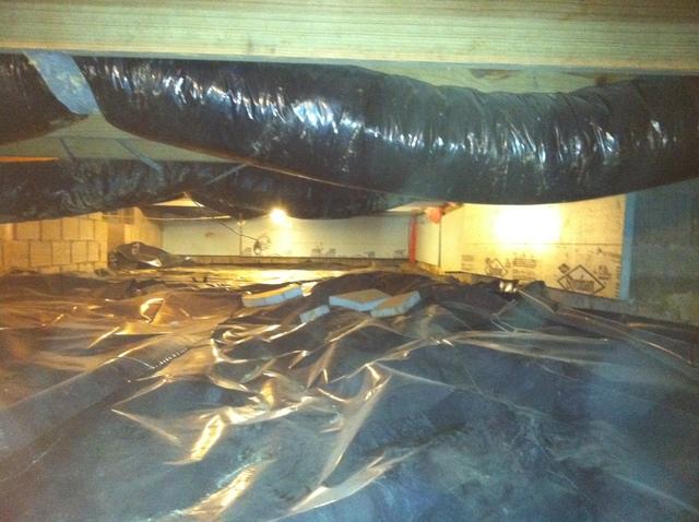 <p>In this shot, you can see that the black plastic in the crawlspace has not stopped the moisture intrusion. &nbsp;In fact, the plastic is currently holding the moisture on it's surface and allowing mold and mildew to grow on top of it! &nbsp;</p>
<p>Also, if you look at the wooden subfloor joist, you can see mold growing on it.</p>