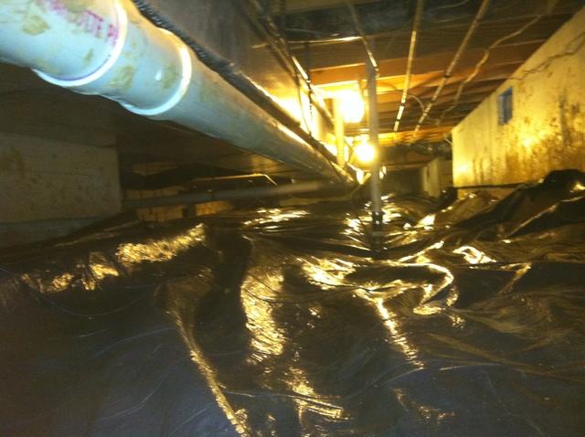 <p>Here, you can see the mold growing on the pipes along the subfloor. &nbsp;Once mold spores are present in a crawlspace, every surface will soon be growing mold. &nbsp;It takes expert remediation to stop this destructive and unhealthy organism. &nbsp;</p>