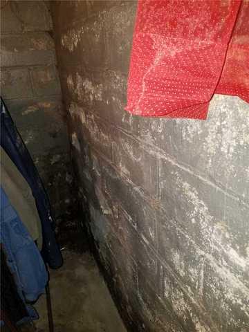 Gross Water Damage in Lansing Basement