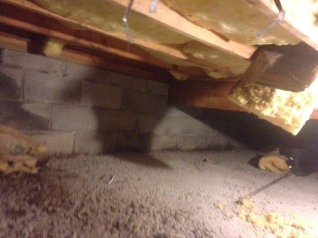 Prior to Crawlspace Renovation