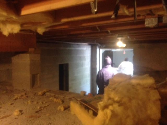 Prior to Crawlspace Renovation