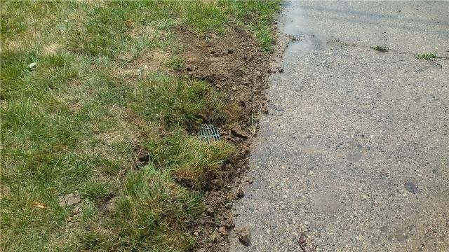 Lawnscape Outlet Camouflaged