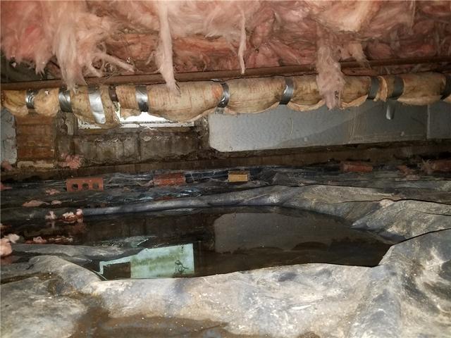 Standing Water in Crawl Space