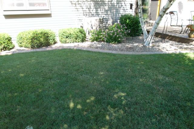 <p>Before holes were augured. Yard still in original condition.</p>