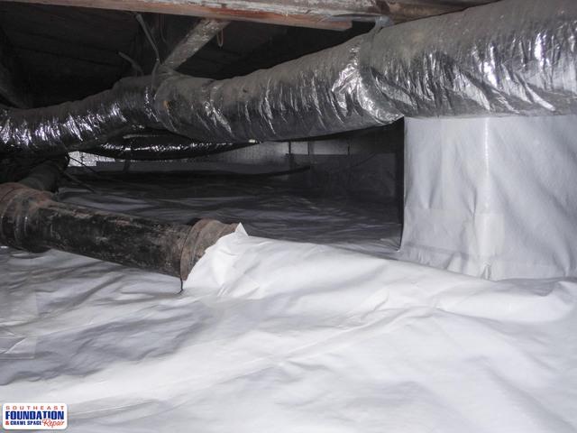 Keeping Mold at Bay