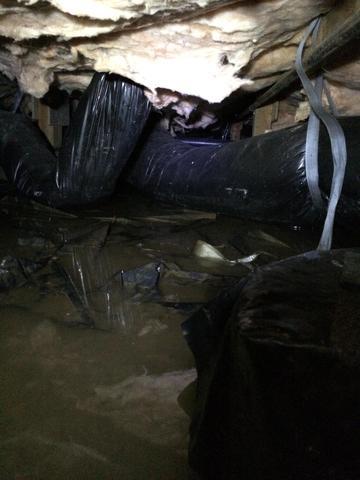 Falling Ducts