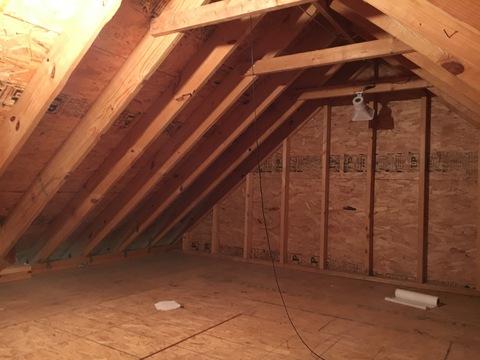 Attic Before Insulation