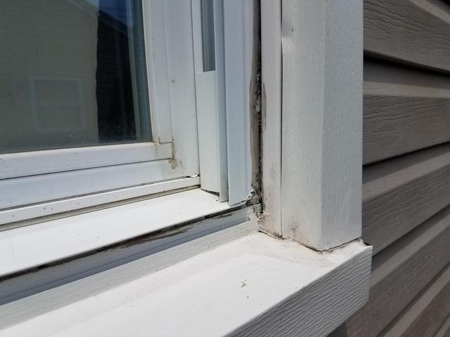 Window Leak Causes Mold