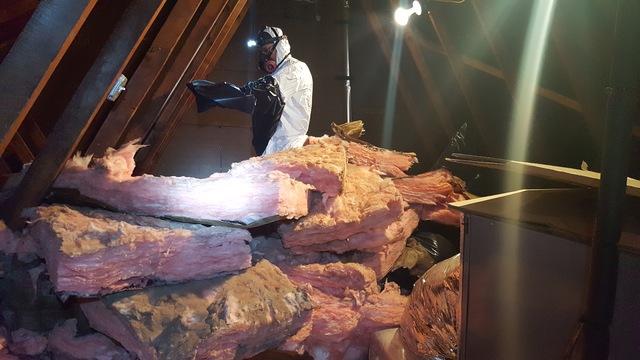 Removing the Insulation