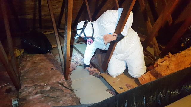 Continued Removing the Insulation