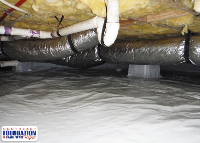 Getting Rid of Unwanted Mold