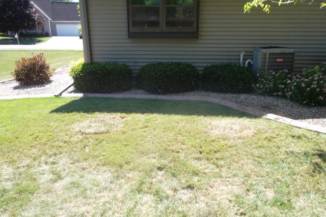 Clients Yard in Oshkosh, WI After Wall Anchor Installation