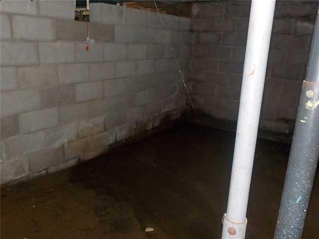 Murky Corner in Wet Basement