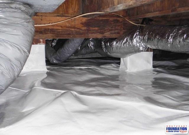 No Mold and Mildew