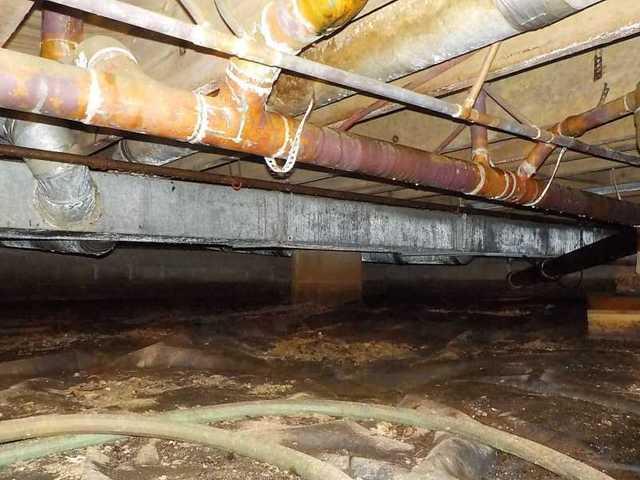 Wet, Moldy Crawl Space