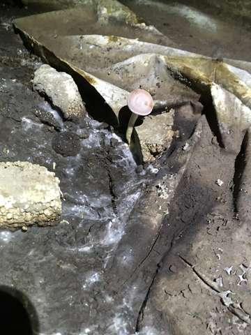 Humidity is Not This Crawlspaces Friend