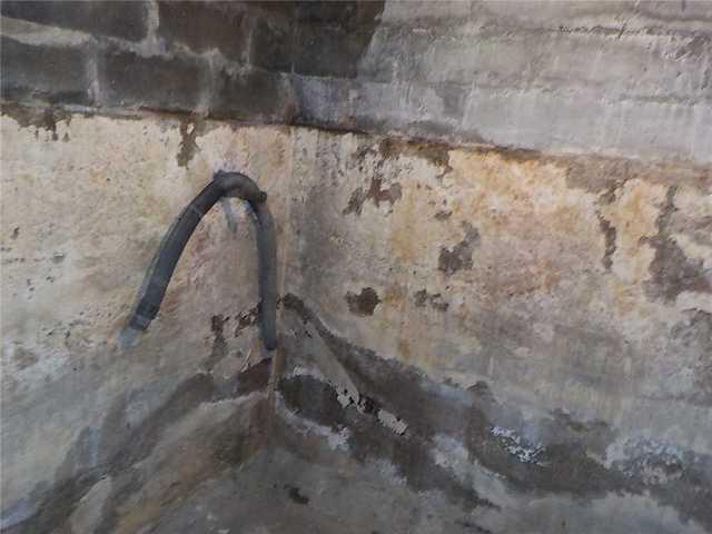 Peeling Walls in Wet Basement