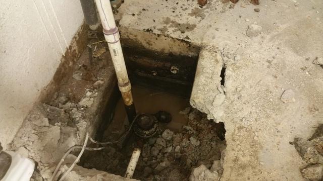 Old Sump Pump