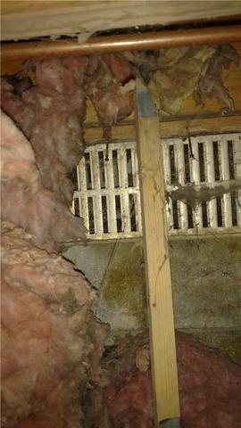 Dirty Fiberglass Insulation Around Crawl Space Vent