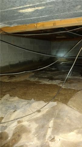 Wet, Gross Crawl Space in Mt. Pleasant