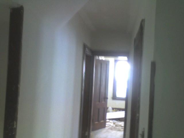 Plaster Repair during