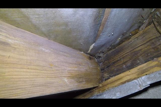 Moisture = Mold