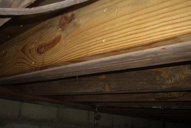 Floor Support