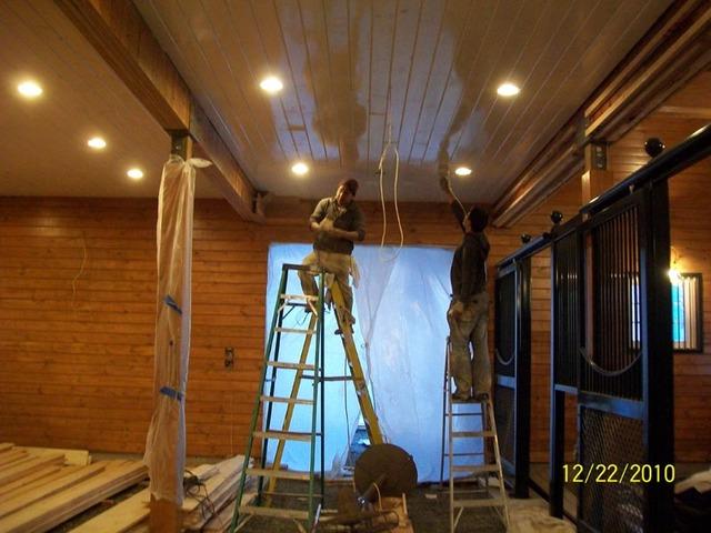 Stained White Ceiling