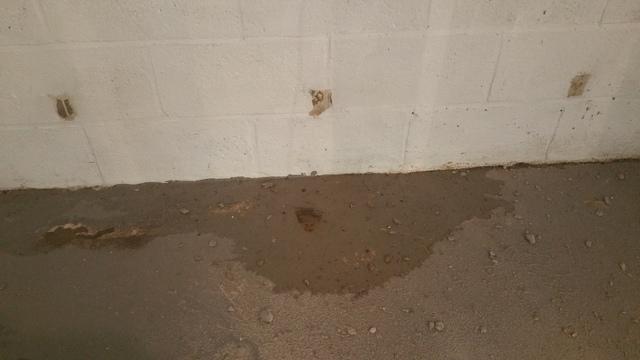 Indication of Water Damage