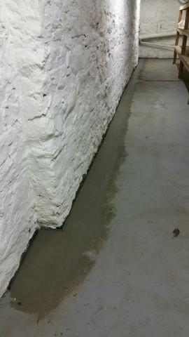 WaterGuard System