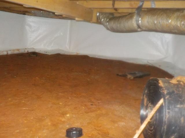 By sealing the crawlspace from the outside air, the relative humidity is going to drop, which is necessary for all the structural wood and materials.