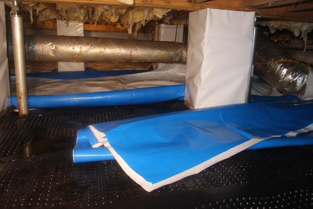 Mold Mitigation
