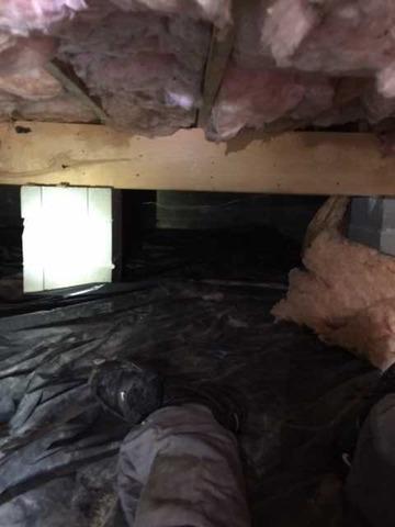 Quick Glance at a Crawl Space in Felton, DE