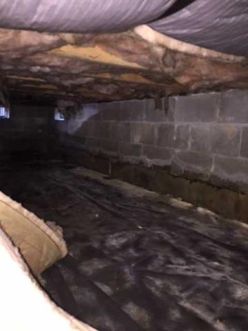 Evidence of Water on the Wall in a Crawl Space in Felton, DE