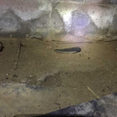 A Close Up of the Walls of this Crawl Space in Felton, DE