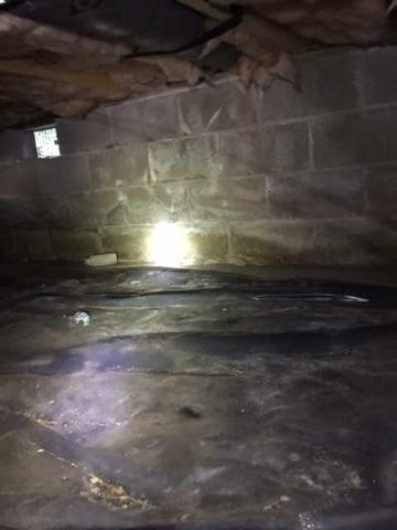 Sunlight in this Crawl Space in Felton, DE