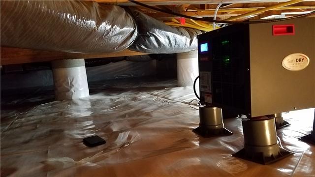 Dehumidify in Ocean View, DE