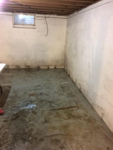 Wet Basement