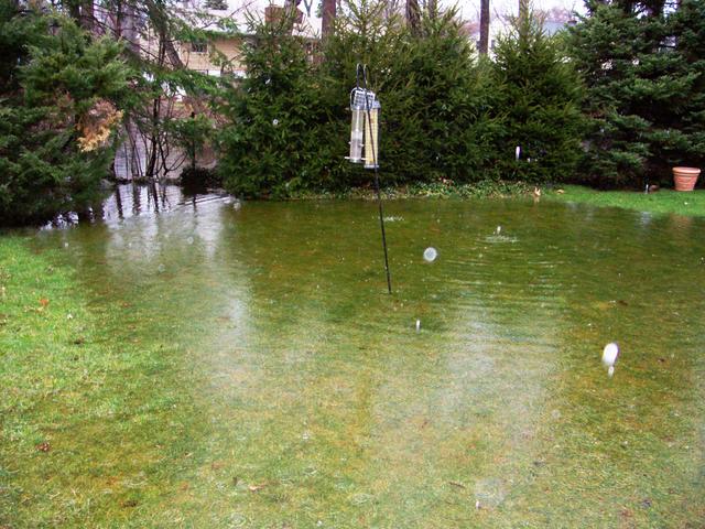 Flooded Yard in Cos Cob, CT