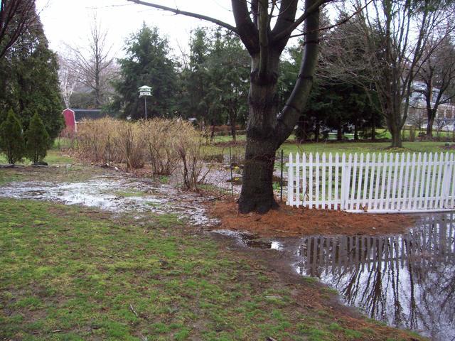 Yard Flooding in Greens Farms, CT