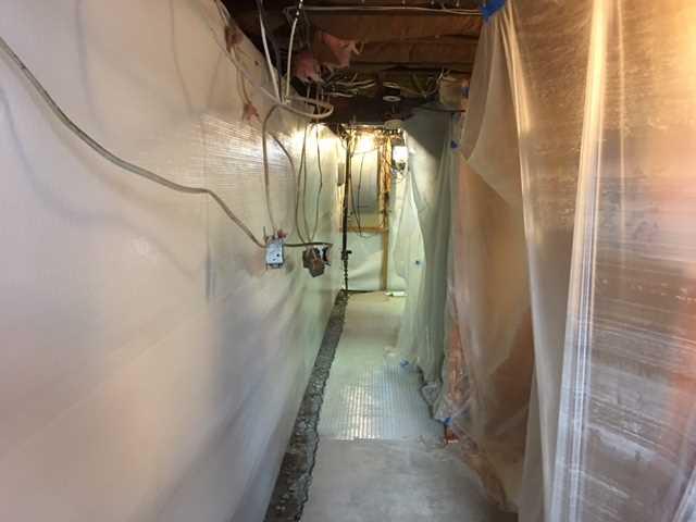 Cleanspace Wall and WaterGuard