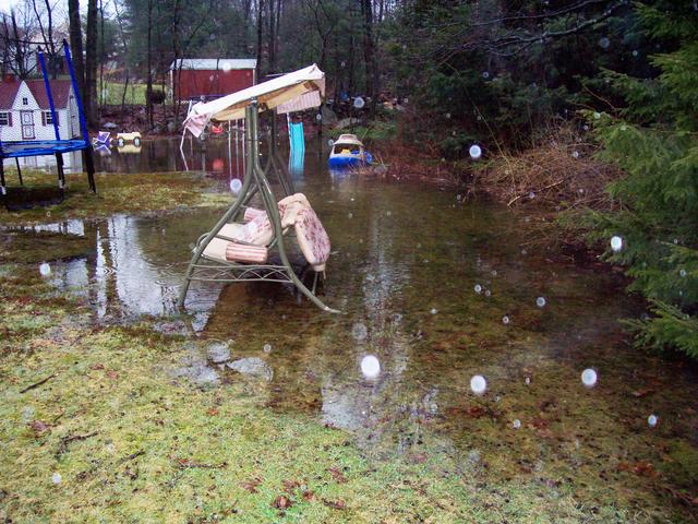 Backyard in Redding, CT