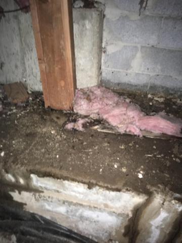 Insulation