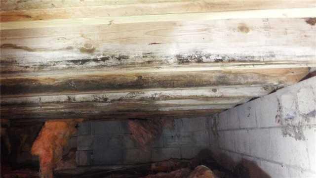 Moldy Crawl Space Beams