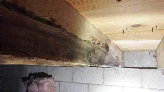 Closeup of Moldy Support Beams