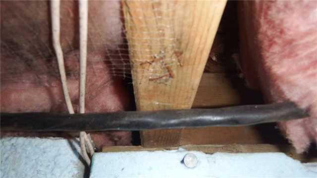 More Signs Of Moisture